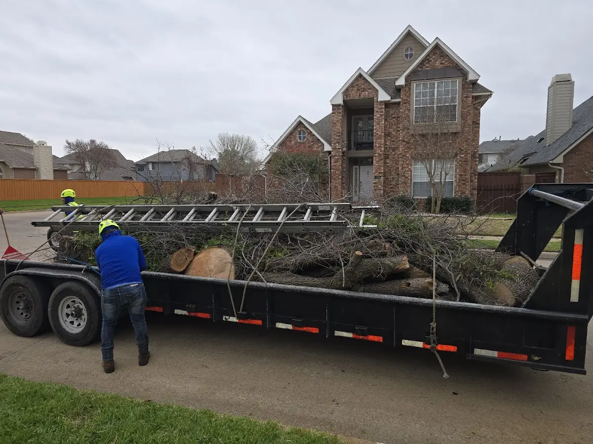 Expert Deadwooding with proper safety equipment in Saint Charles